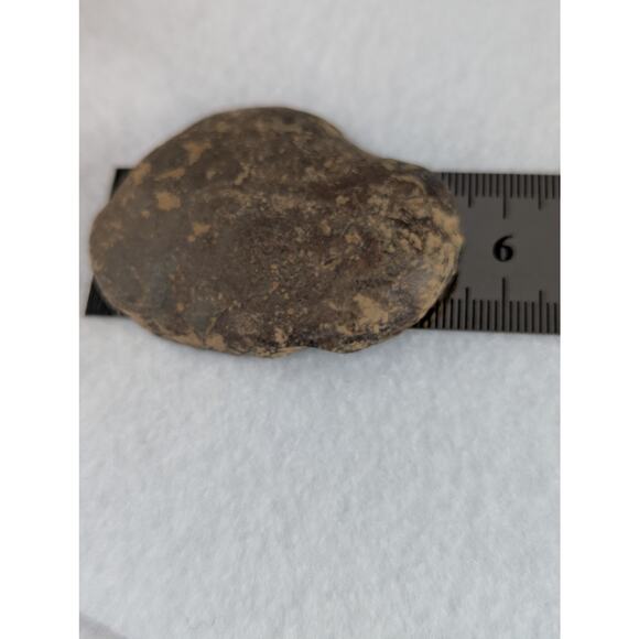 Dragon Stone Septarian slice fossil 41 x 55mm 35.5 grams Thunder egg NWOT - Picture 4 of 11